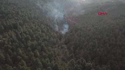 Sultanbeyli'de Aynı Bölgede Orman Yangınları