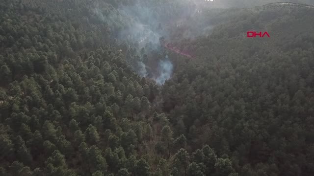 Sultanbeyli'de Aynı Bölgede Orman Yangınları