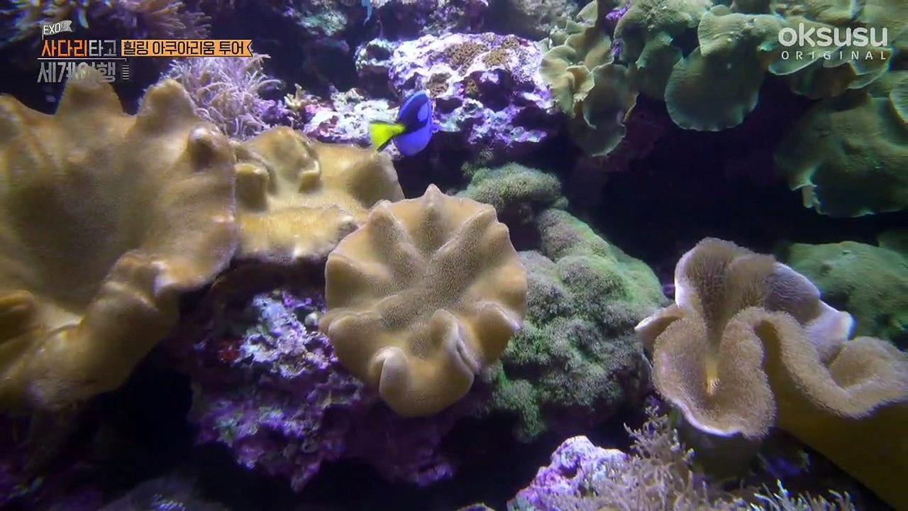 EXO TRAVEL THE WORLD SEASON 2 - EPISODE 37