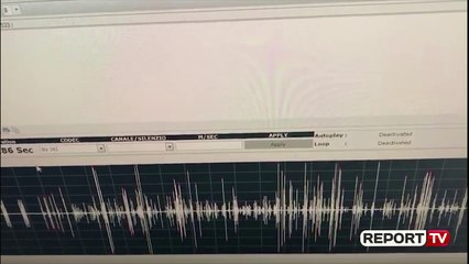 'Babalja'/ Salianji publikon audion e përgjimeve: Drejtori i Policisë Fier pagoi Alizotin