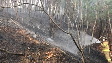 경기 남양주 천마산 불...산림 0.3ha 불타 / YTN