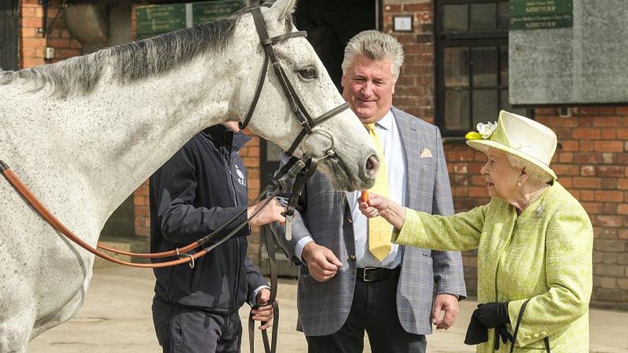 NO COMMENTS der Woche: In Norwegen gerät ein Kreuzfahrtschiff in Seenot und die Queen füttert Pferde