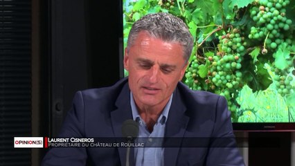 Opinions - Les primeurs à Bordeaux