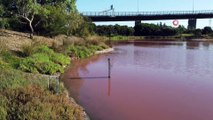 - Avustralya'da Bir Göl Pembe Renge Büründü- Pembe Göl Ziyaretçi Akınına Uğruyor