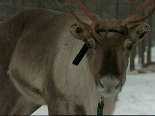 Desciende el turismo en la tierra de Papa Noel