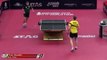 Timo Boll vs Benedikt Duda | 2019 ITTF Qatar Open Highlights (R32)