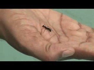 &#039;The Man&#039;, la película más corta jamás rodada