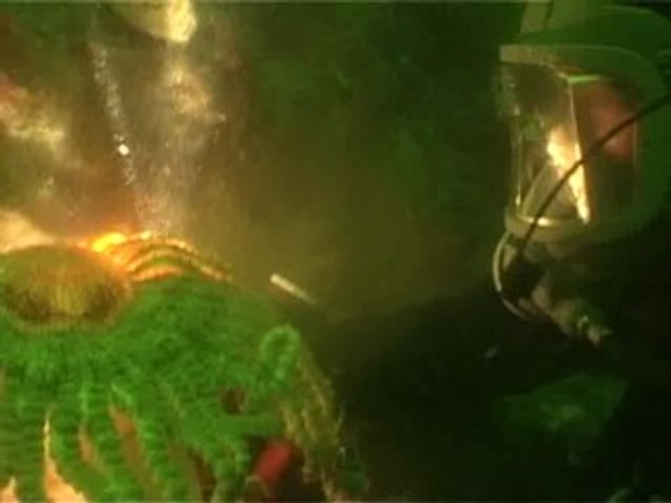 La Antártida posee más especies que las Islas Galápagos