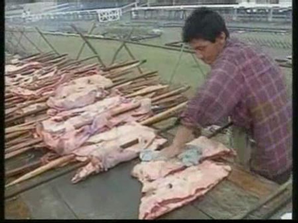 Guinness para una buena causa