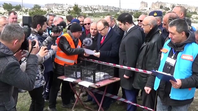 Türkiye Okul Sporları Oryantiring Gençler Şampiyonası - AFYONKARAHİSAR