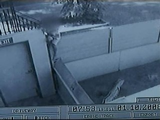 Un niño de 7 años provoca una carnicería en un zoo