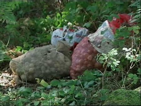 Tiende una emboscada a un brigadista y le dispara cuatro tiros
