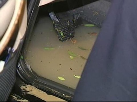 40 litros por metro cuadrado en 35 minutos en Elche