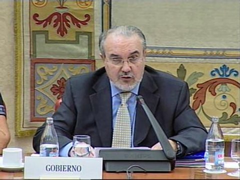 Crecimiento débil en los próximos trimestres para tocar fondo en 2009