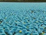 250.000 patos de goma por el Támesis