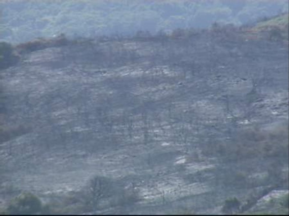 El incendio de Algeciras está estabilizado tras arrasar 480 hectáreas