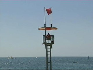 Tải video: Las medusas obligan a cerrar tres playas de Barcelona