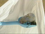 Una plaga de medusas invade las costas de San Sebastián