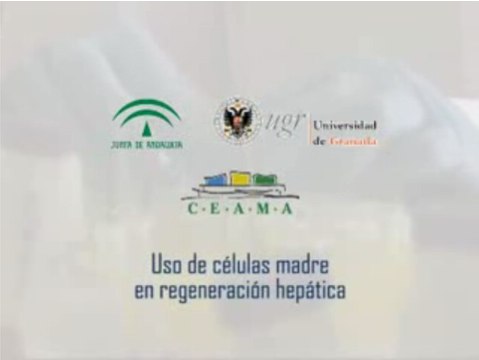 Uso de células madre para tratar enfermedades hepáticas