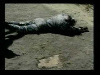 Novatadas en forma de tortura en la Policía de México