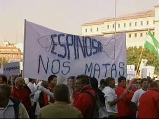 Miles de pescadores se manifiestan junto al ministerio