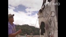 Documental APBT Conoce a un Pit Bull