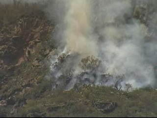 Los bomberos combaten el fuego en La Gomera
