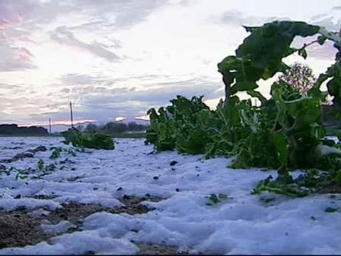 Una fuerte granizada provoca importantes destrozos en cultivos de Gerona
