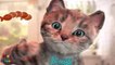 kitten show Play Fun Little Kitten My Favorite Cat Show -Talking Tom -Top Games 2019 For Children & Toddlers