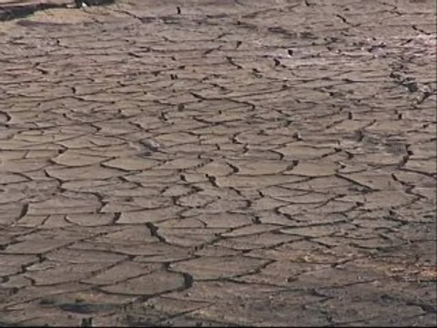 Primeras medidas de emergencia para afrontar la sequía