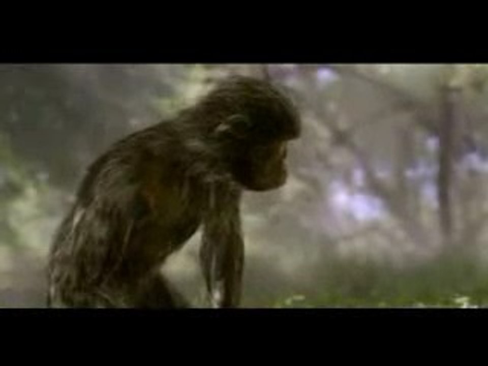 600 millones de años de evolución resumidos en cinco minutos
