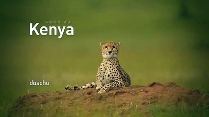 マ 퍼스트카지노주소 바카라주소⊆⊆ＭＳＴ272、C O M⊇⊇생방송바카라사이트  "처음 올라갈 때