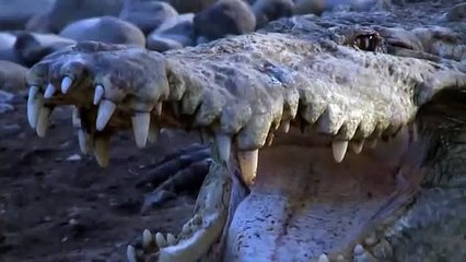 ト 블랙잭생중계 카지노블랙잭⊆⊆ＭＳＴ272、C O M⊇⊇바둑이사이트 さ 시선을 훔친 '신さ