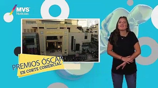 Osos polares invaden Rusia