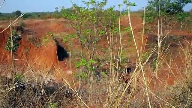 Build amazing natural waterfall swimming pool and cactus for fence by digging cliff