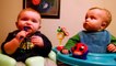 Cute Twins Baby Fighting Over - Funny Cute Video