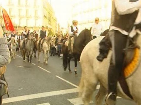 Caballos y ovejas invaden la capital