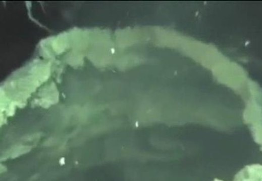 Un buque oceanográfico llegará en las próximas horas al Hierro