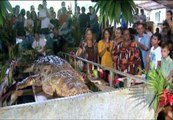 Muere 'Poncho', el cocodrilo que hizo famoso a un pueblo de Costa Rica