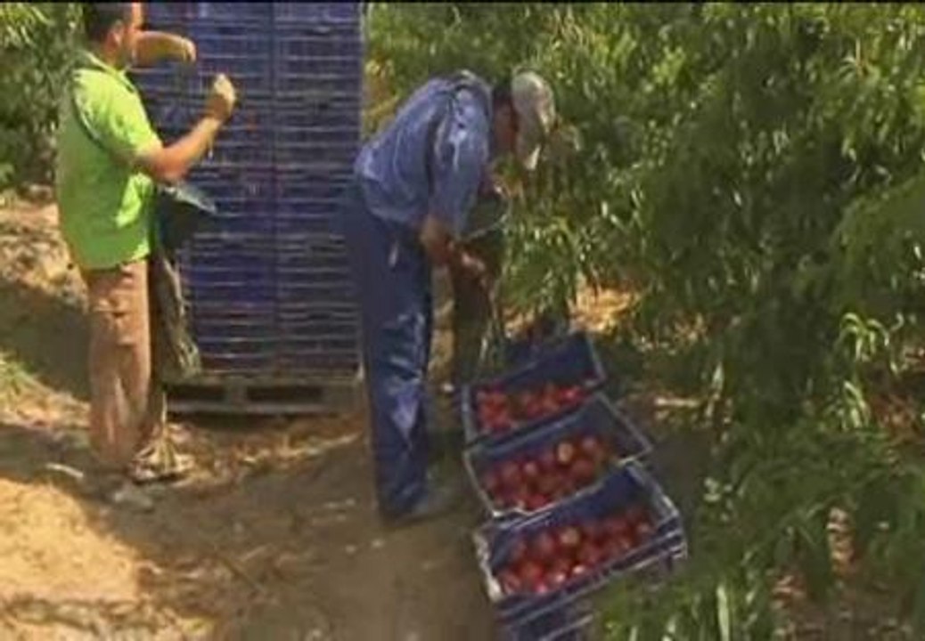 Indignación de los jornaleros andaluces por las palabras de Duran i Lleida