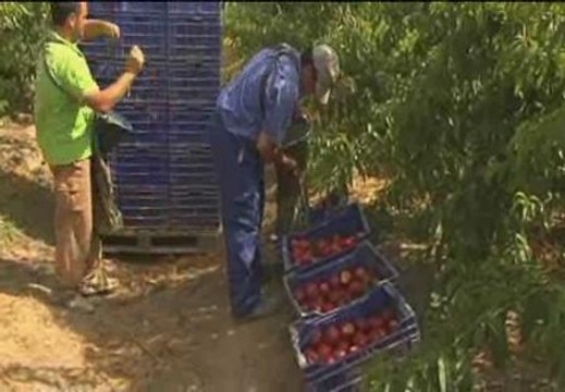 Indignación de los jornaleros andaluces por las palabras de Duran i Lleida