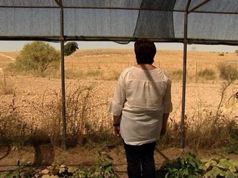 El trastorno bipolar: la enfermedad de las emociones