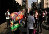 Rinocerontes sueltos en Sao Paulo