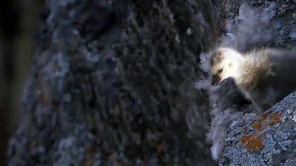 ▲ 더킹카지노사이트 온라인카지노⊆⊆ＭＳＴ272、C O M⊇⊇ ▧만에 올린 타점▧