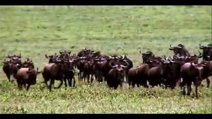 る 블랙잭온라인 카지노싸이트사이트⊆⊆ＭＳＴ272、C O M⊇⊇생중계카지노추천 サ면으로 자주 거론된サ