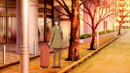 Domestic Na Kanojo 12