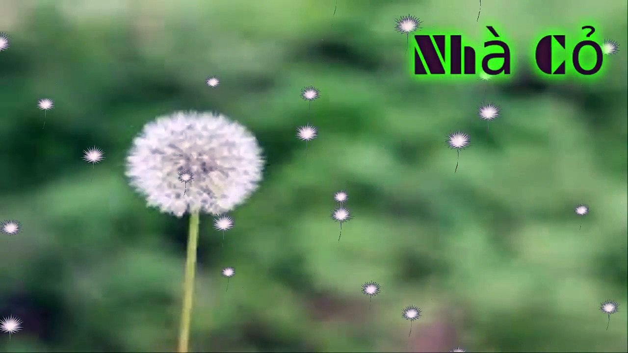 Audio đam mỹ: Dị Thế Lưu Đày: 358-360