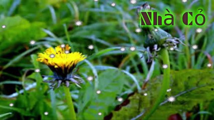 Audio đam mỹ: Dị Thế Lưu Đày: 369-371