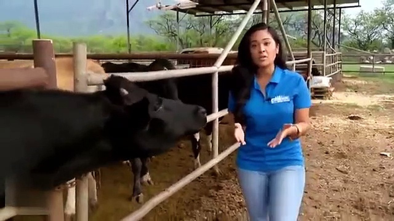 what funny #11 : BEST FUNNY VIDEOS COMEDY