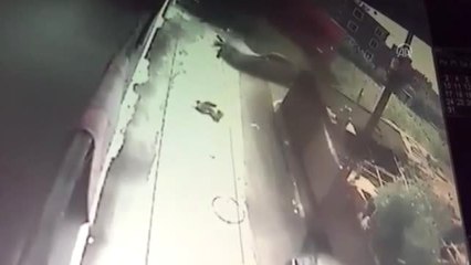 Yavruları Telef Olan Köpek Mahalle Sakinlerini Duygulandırdı